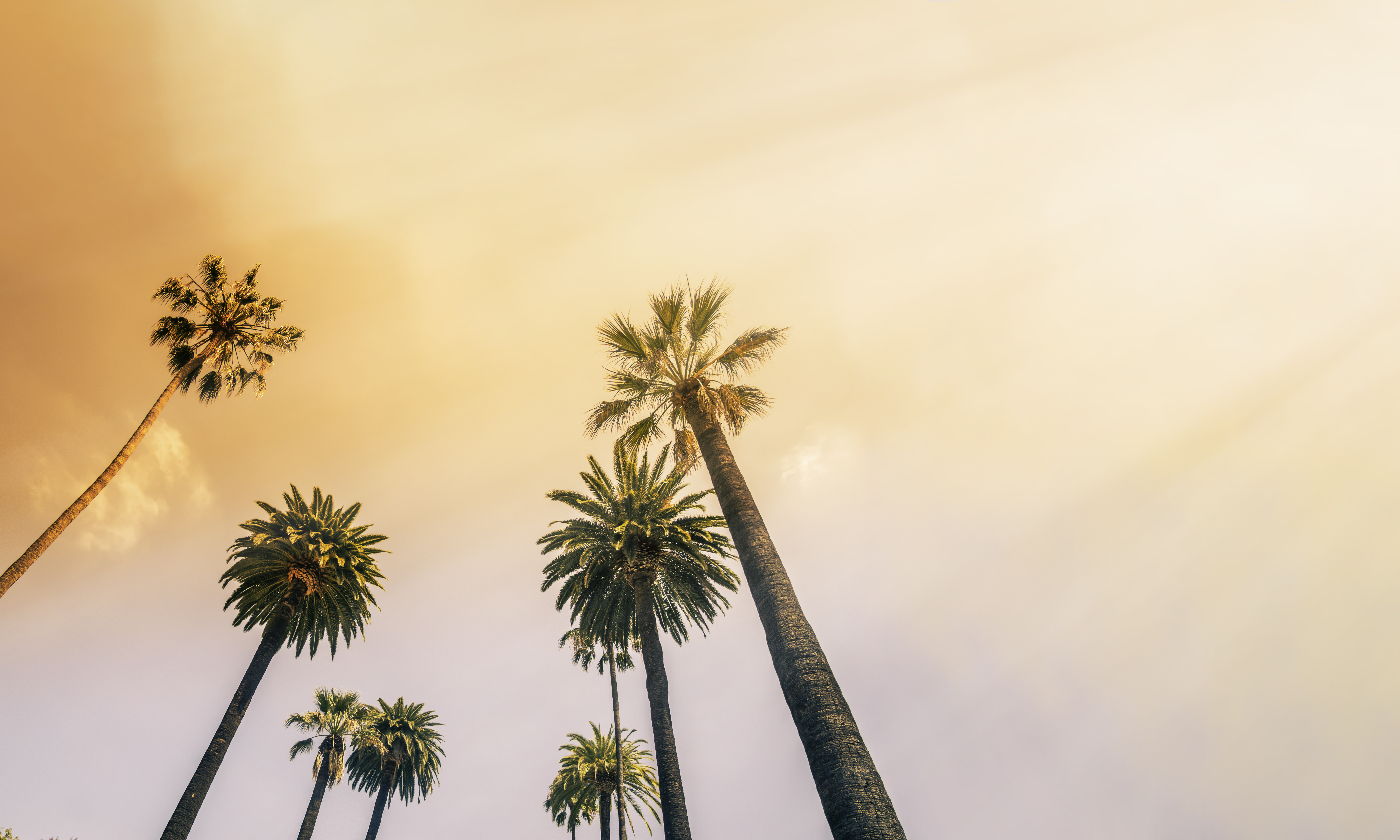 alt="assisted living in Oceanside CA"