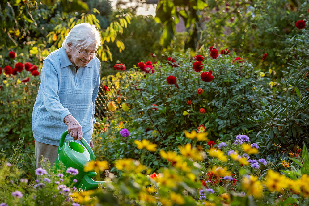 Senior woman gardening in senior living community