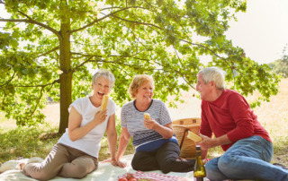 Group of seniors sitting down having a picnic outside