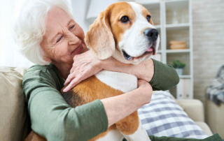 Senior woman holding pet dog on lap sitting on couch, happy and smiling