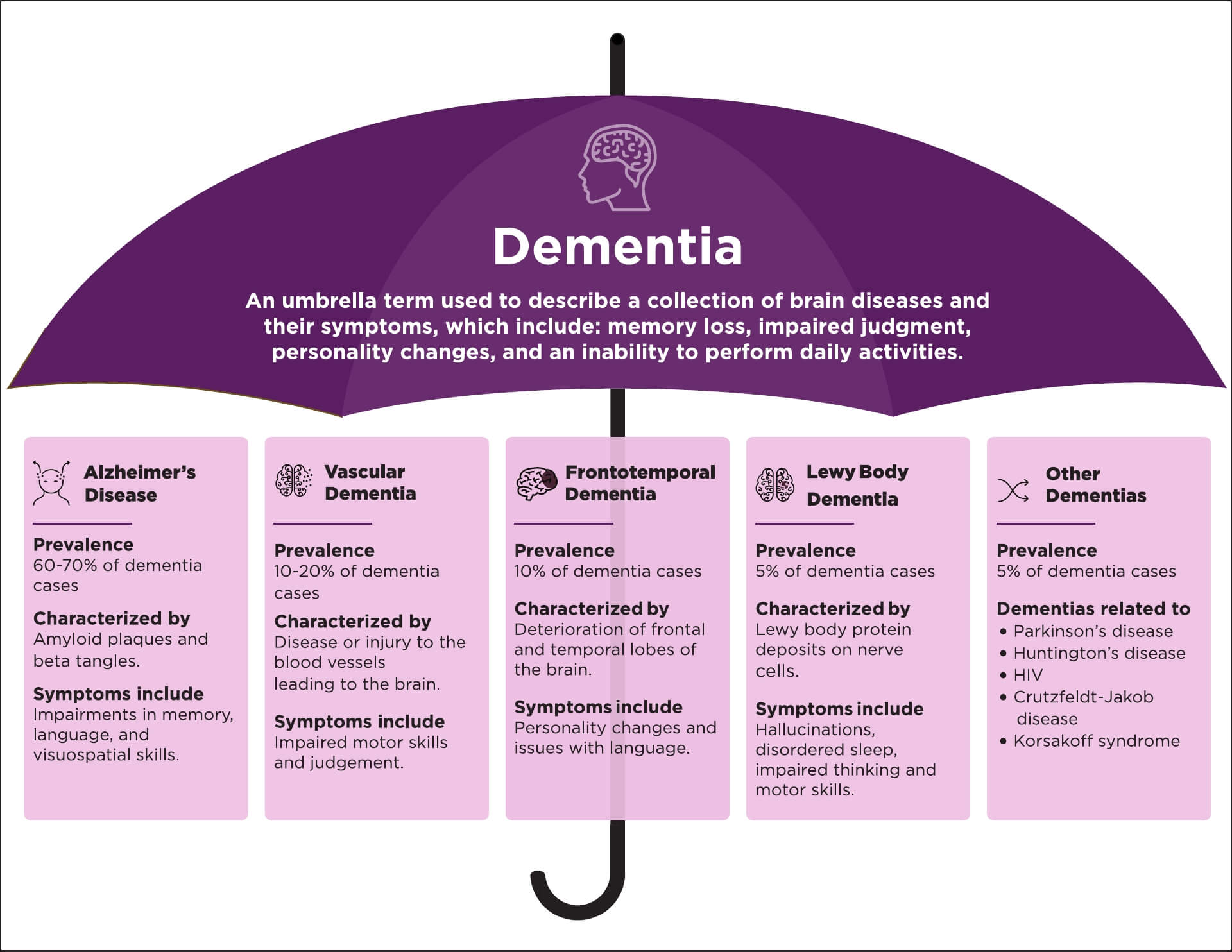 Infographic breaking down the different kinds of dementia